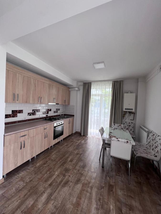 Appartement Nesta Apartament à Fălticeni Extérieur photo